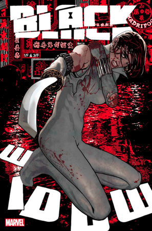 Black Widow, Vol. 9 #13A – Adam Hughes Regular