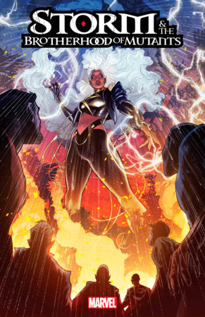 Storm and the Brotherhood of Mutants #1F – Lucas Werneck Stormbreakers Cover