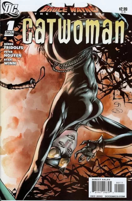 Bruce Wayne: The Road Home: Catwoman Bruce Wayne: The Road Home - Lifting The Vale 1