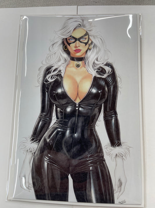 Waifu Chronicles Sensual Feline Cosplay #1 Cover A Tim Grayson 2025 color