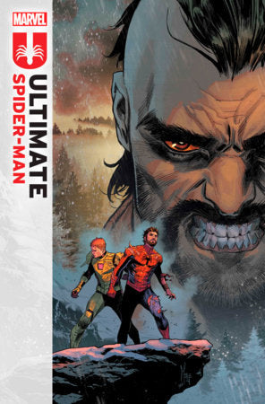Ultimate Spider-Man, Vol. 2 #13A – Marco Checchetto Regular