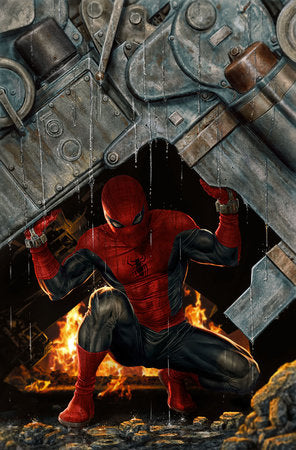 The Amazing Spider-Man, Vol. 7 14E Lee Bermejo Amazing Visions Incentive Virgin Variant (1:100)